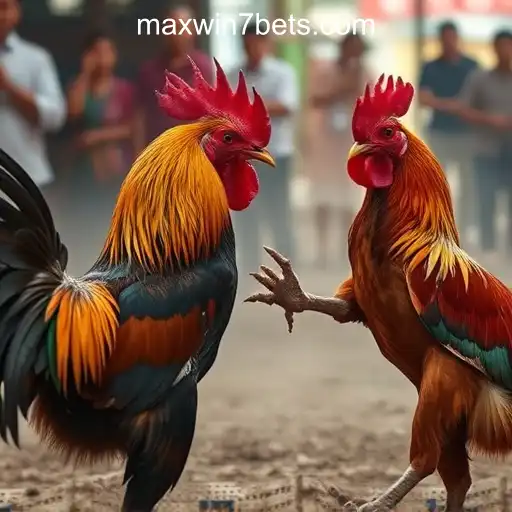 Cockfighting: A Tradition Under Scrutiny